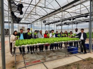 Facility of hydroponics practice
