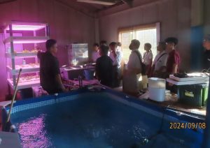 aquaponics 2