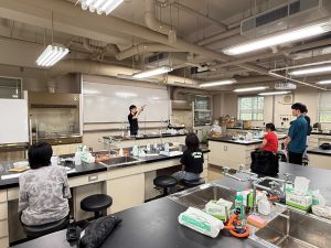 experimental workshop 1